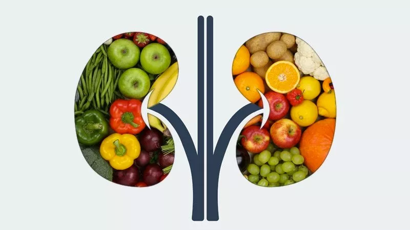 Best Foods for Kidney Health and Kidney Stone Prevention whatsapp image 2023 02 08 at 3.27.46 pm.jpeg